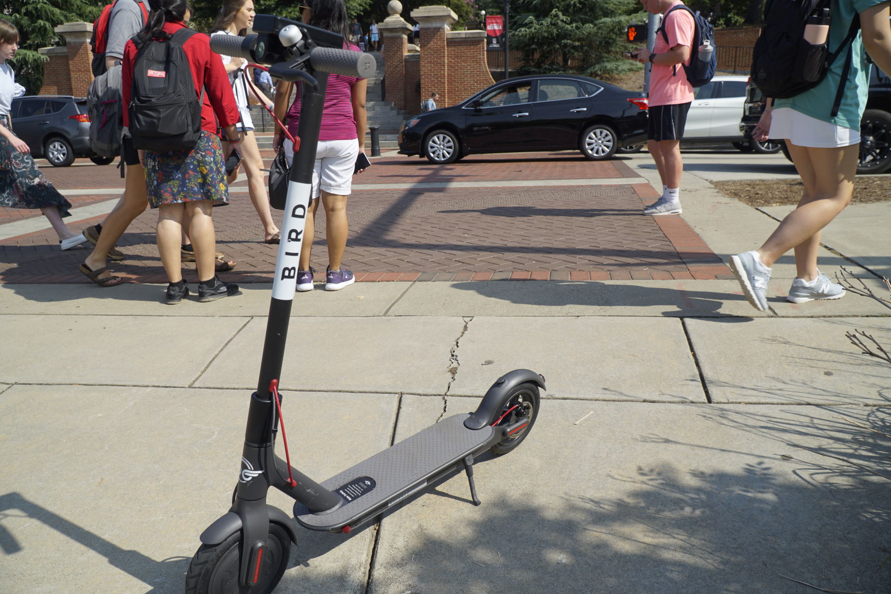 bird scooter baldwin